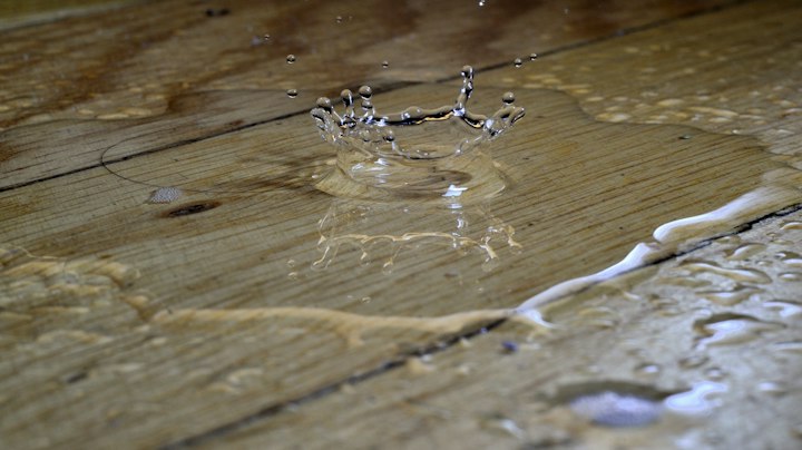 Sudden pipe burst causing emergency water damage and severe mold outbreak on residential walls